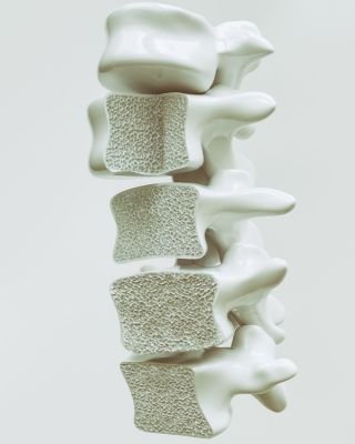 Osteoporose e Saude Ossea