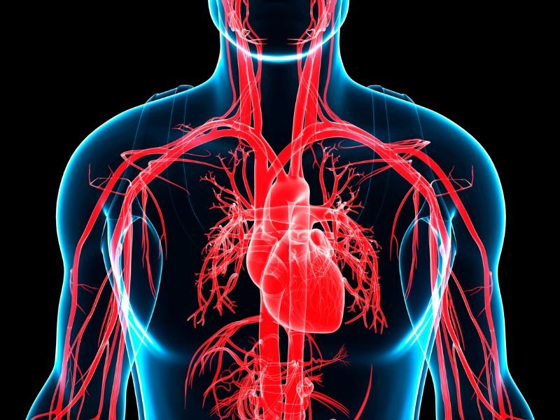 Tratamento para Arterite de Takayasu em Curitiba